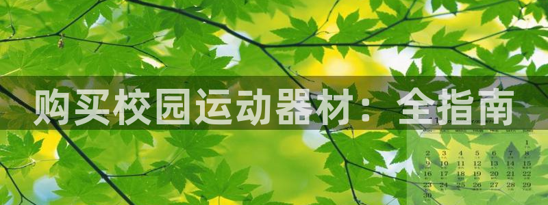 意昂体育3平台是正规平台吗安全吗:购买校园运动器材:全指南